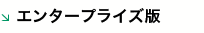 エンタープライズ版